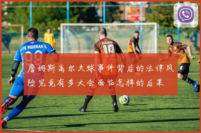 詹姆斯高尔夫球事件背后的法律风险究竟有多大会面临怎样的后果