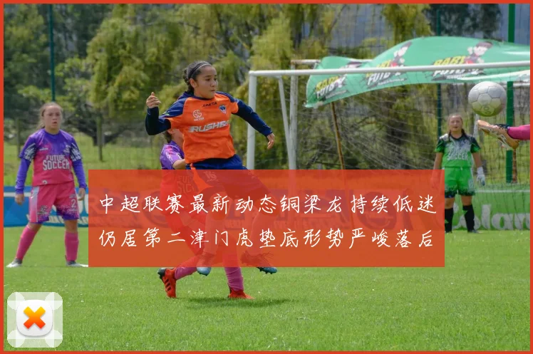中超联赛最新动态铜梁龙持续低迷仍居第二津门虎垫底形势严峻落后安全区九分