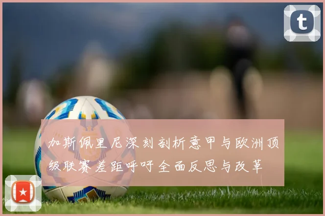 加斯佩里尼深刻剖析意甲与欧洲顶级联赛差距呼吁全面反思与改革